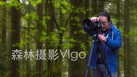 白化摇篮曲